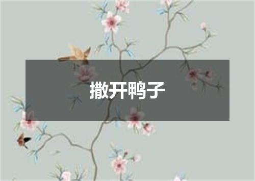撒开鸭子