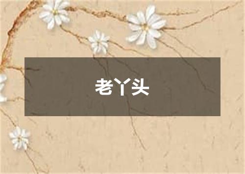 老丫头