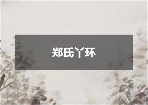 郑氏丫环