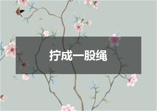拧成一股绳