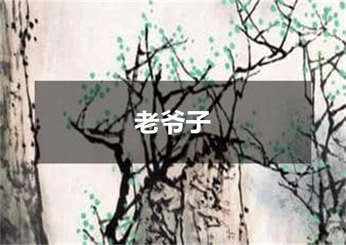 老爷子