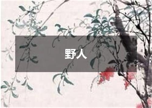 野人