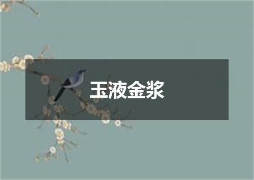 玉液金浆