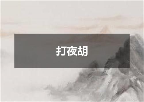 打夜胡