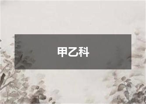 甲乙科