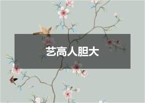 艺高人胆大