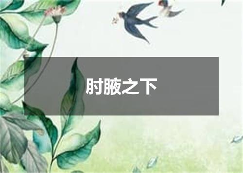 肘腋之下