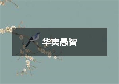 华夷愚智