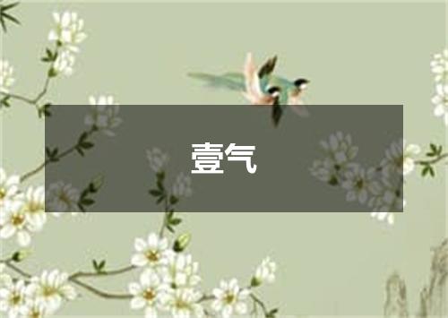 壹气