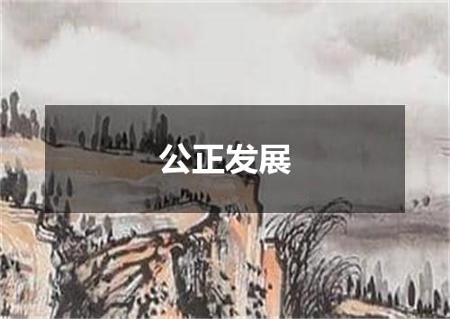 公正发展
