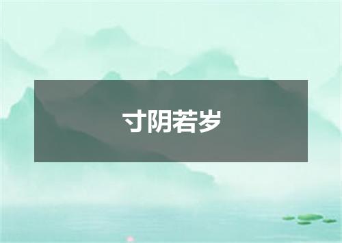 寸阴若岁