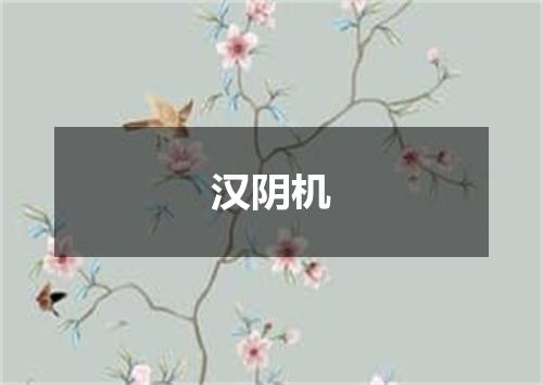 汉阴机