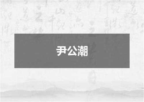 尹公潮