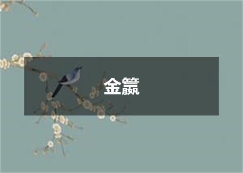 金籝