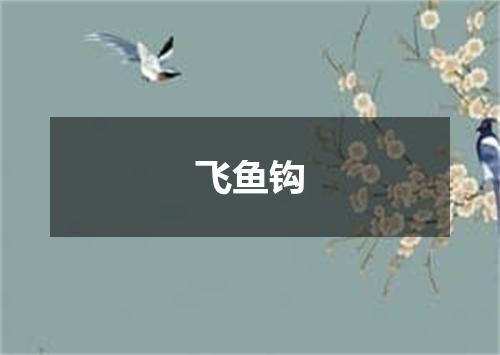 飞鱼钩