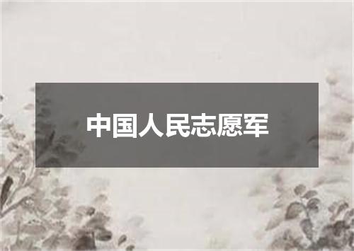 中国人民志愿军