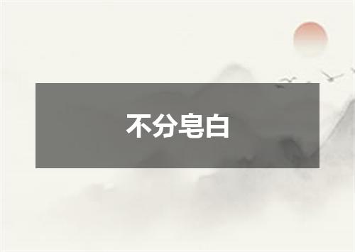 不分皂白
