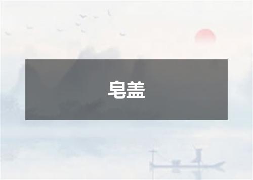 皂盖