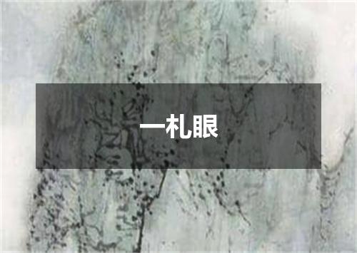 一札眼