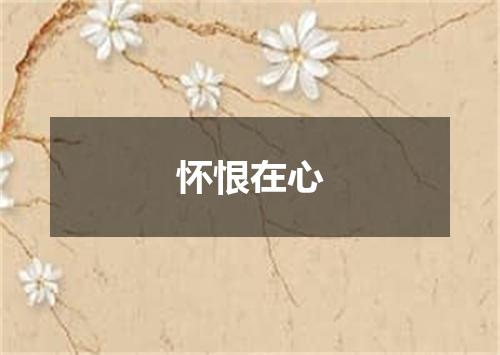 怀恨在心