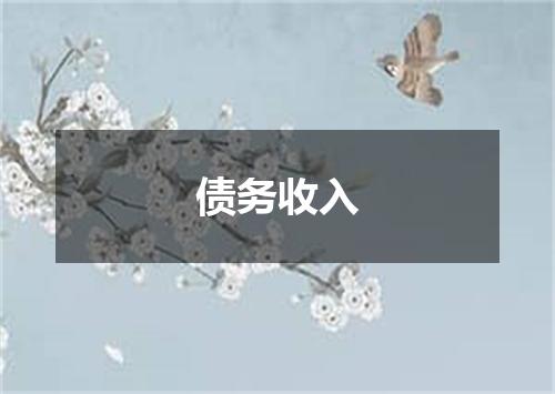 债务收入