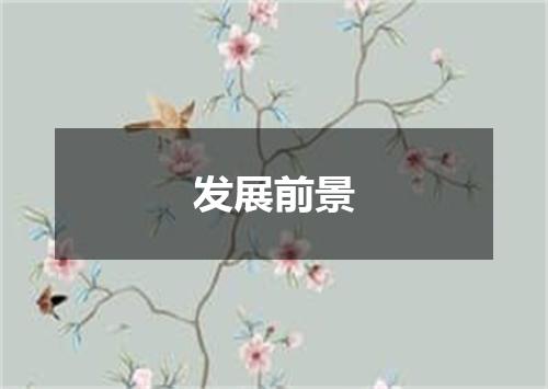 发展前景