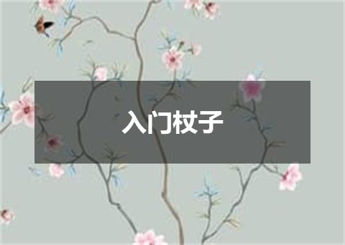 入门杖子