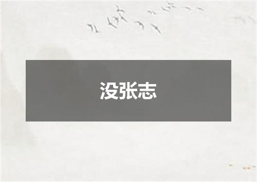 没张志