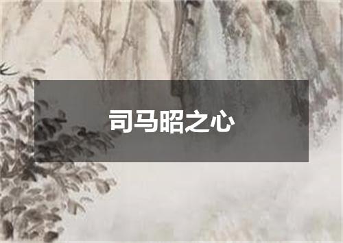 司马昭之心