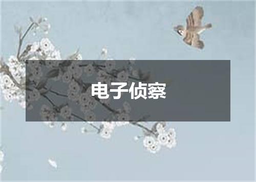 电子侦察