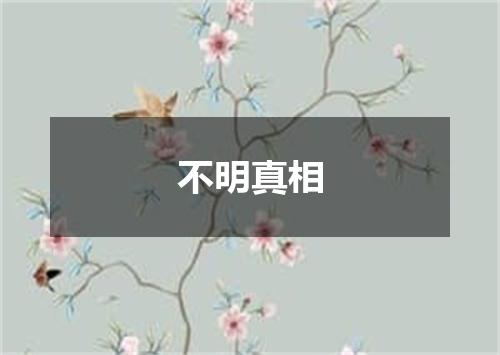 不明真相