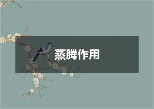蒸腾作用