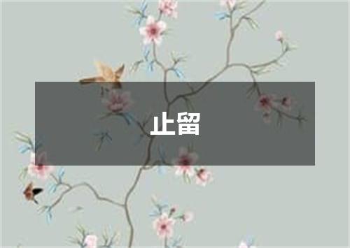 止留
