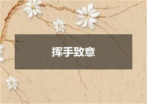 挥手致意