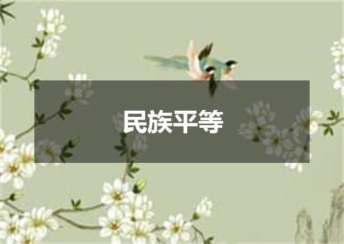 民族平等