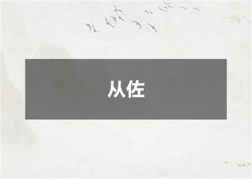 从佐