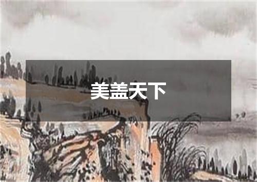 美盖天下