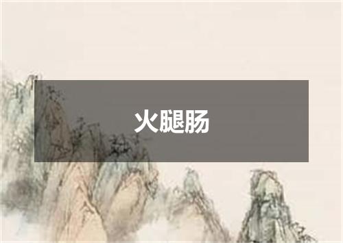 火腿肠
