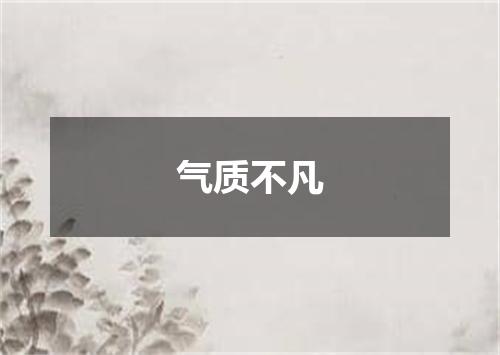 气质不凡