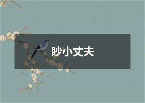 眇小丈夫