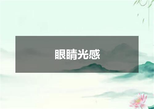 眼睛光感