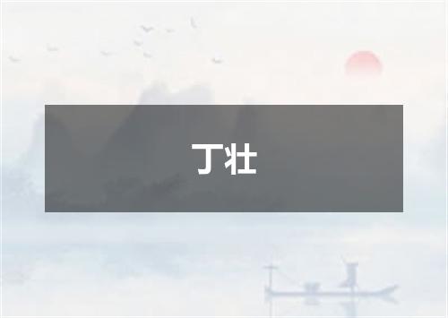 丁壮