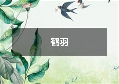 鹤羽