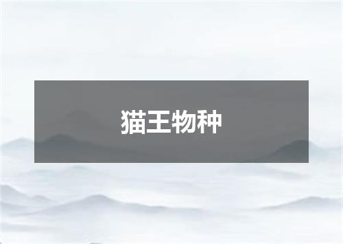猫王物种