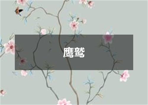 鹰鹫