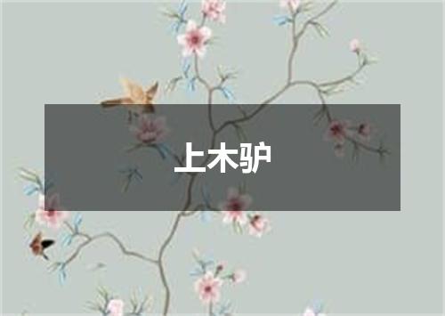 上木驴