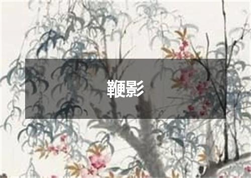鞭影