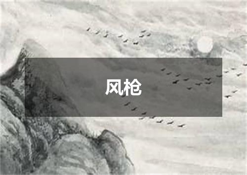 风枪