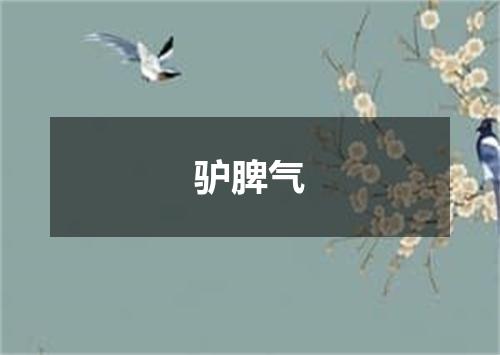 驴脾气
