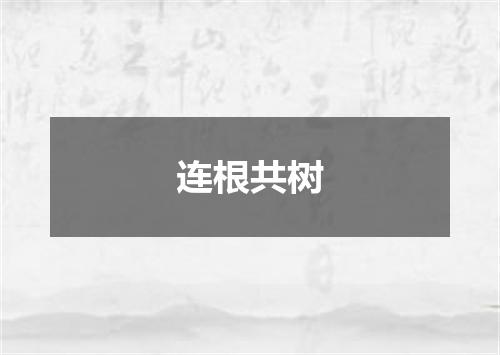 连根共树